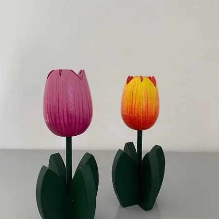 Dutch Tulip Apartment Medulin