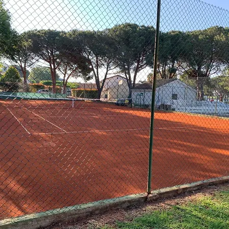 Dutch Tulip Apartment Medulin