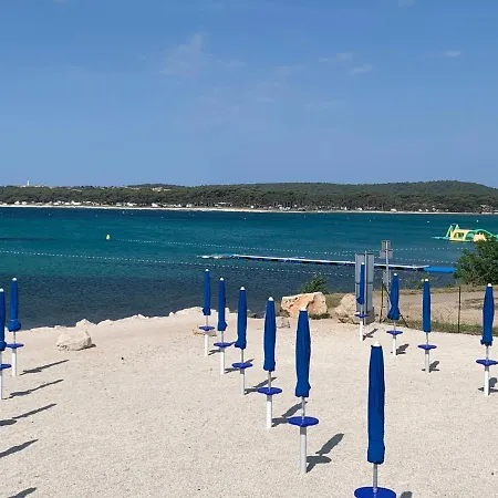 Dutch Tulip Apartment