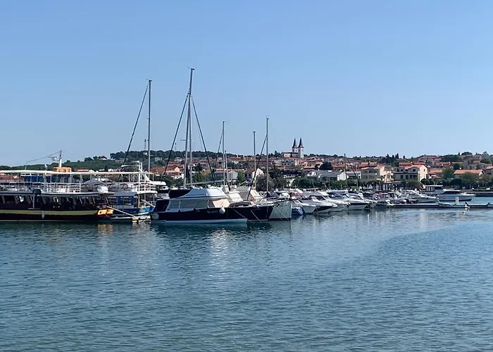 Dutch Tulip Μεντουλίν