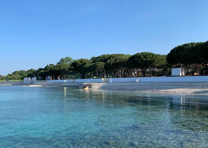 Dutch Tulip Μεντουλίν