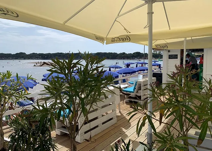 Dutch Tulip Διαμέρισμα Μεντουλίν