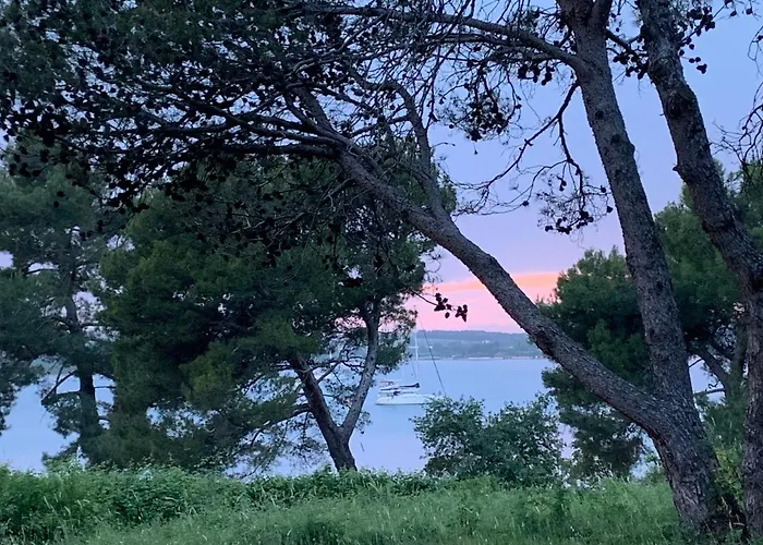 Dutch Tulip Διαμέρισμα