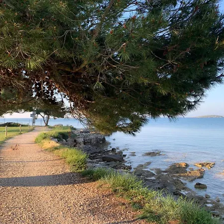 Daire Dutch Tulip Medulin