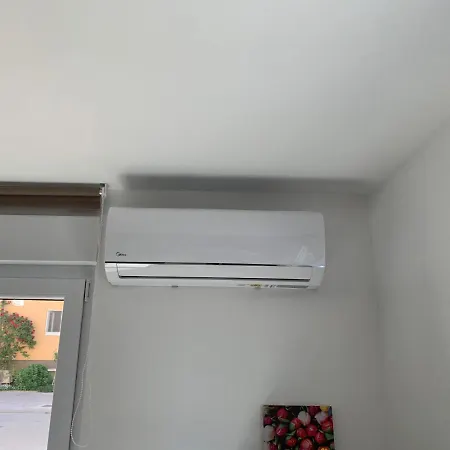 Dutch Tulip * Medulin