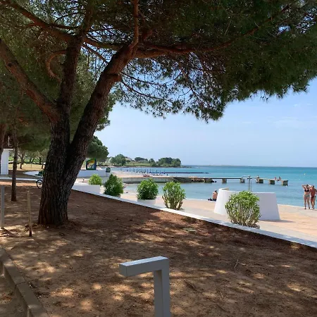 Appartement Dutch Tulip Medulin