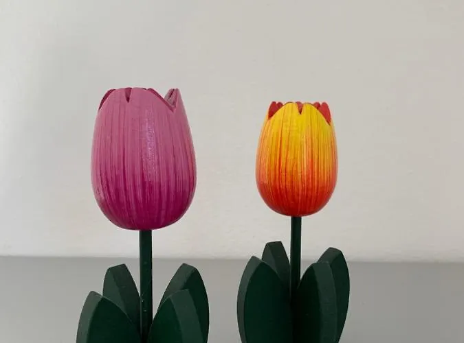 Dutch Tulip Apartman Medulin