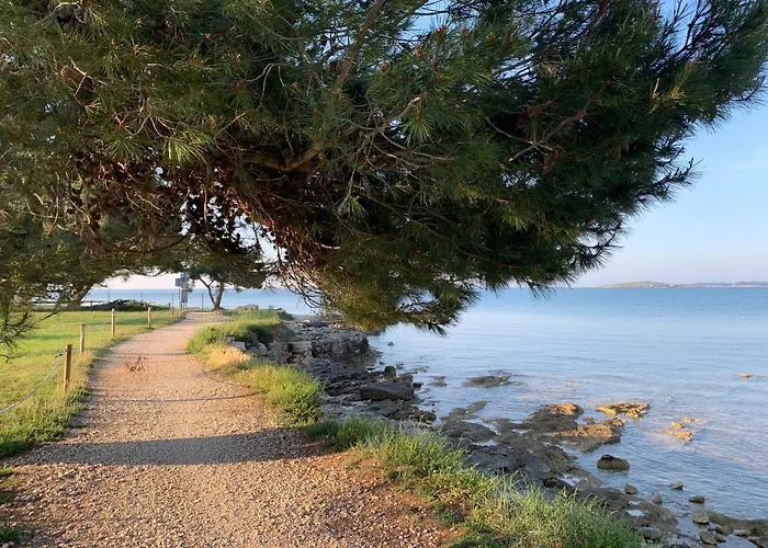 Apartman Dutch Tulip Medulin