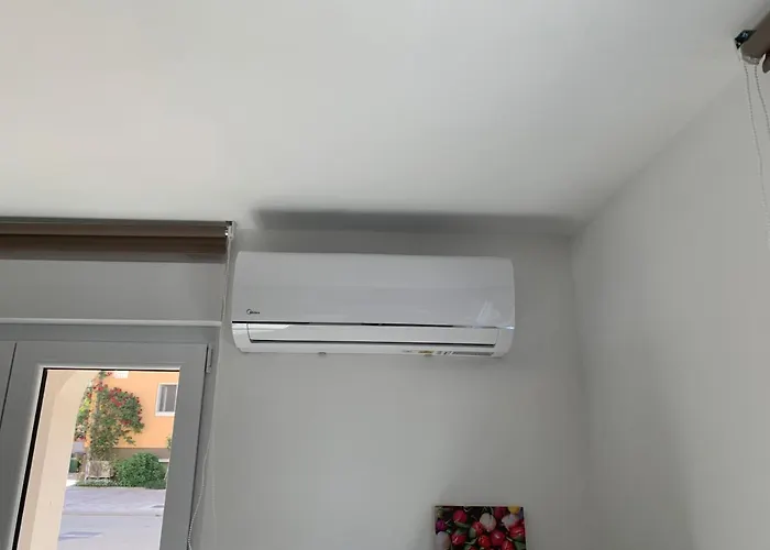 Dutch Tulip * Medulin