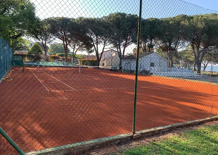 Dutch Tulip Apartman Medulin