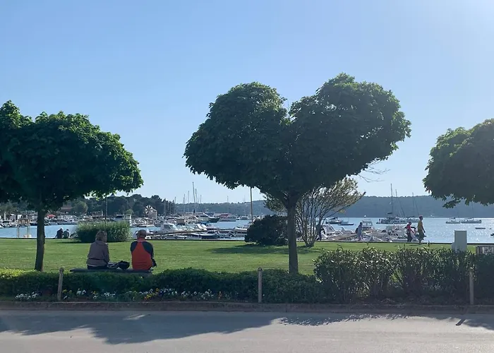 Dutch Tulip Apartman