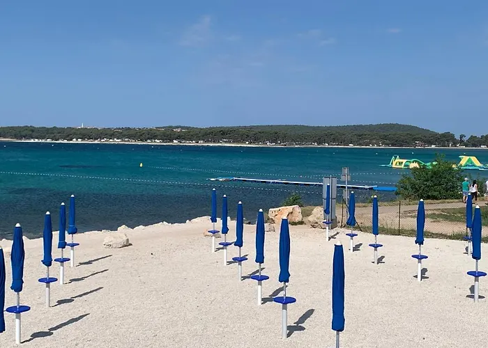 Dutch Tulip Apartman