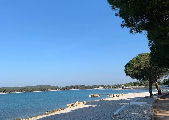 Dutch Tulip Apartman